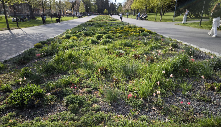 GLOSA: Tristní stav záhonů, ale expozice za miliony. To je další Flora Olomouc
