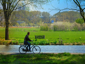 Polovina cyklistů, kteří zemřeli při nehodách, neměla helmu