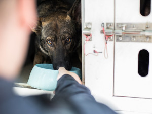 Velká policejní akce s bohatým programem vypukne na hokejovém stadionu (nejen) pro fanoušky HC Olomouc a Policie ČR