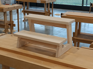 Jediná dávka v mužské konkurenci. Nejlepší mladá truhlářka v Česku je z Prostějova