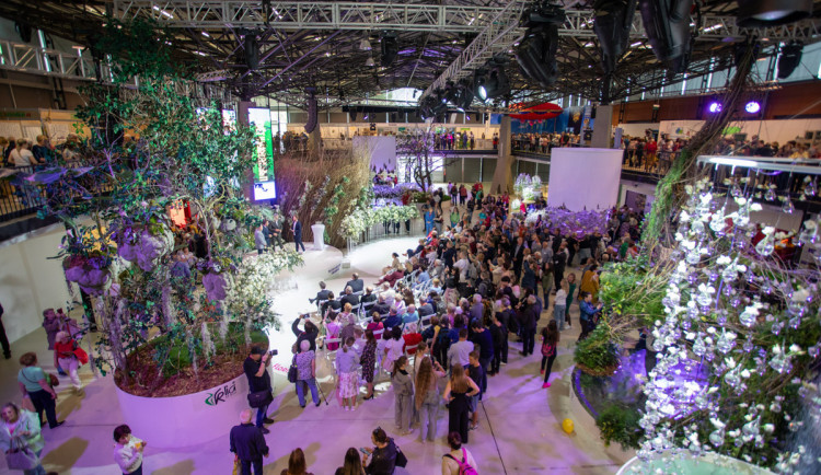 GLOSA: Flora Olomouc skončila, dlouhodobý koncept chybí, míní Benýšek