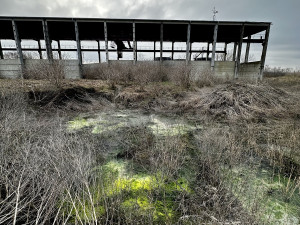 Za skládku nebezpečného odpadu na Prostějovsku dostala jednatelka firmy podmínku