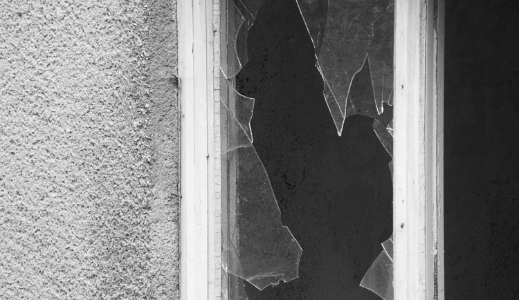 Pes rozbitým oknem propadl do sklepa opuštěného domu. Vytáhli ho strážníci