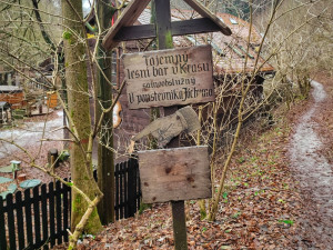 TIP NA VÝLET: Máte rádi rozhledny a jeskyně? Pak zkuste okruh v okolí Adamova