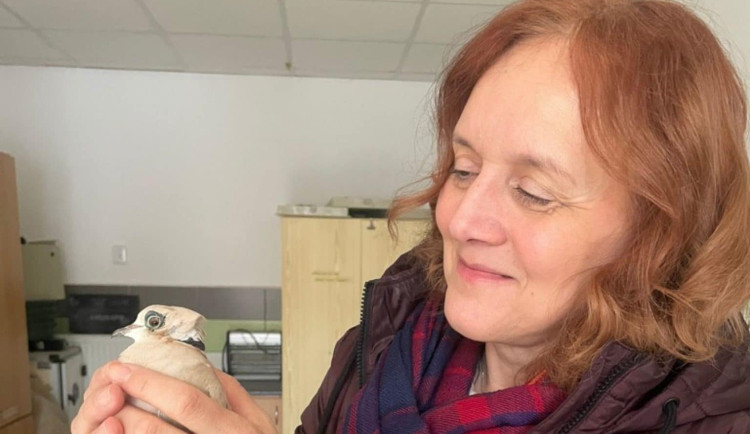 Mirka ze stanice v Pavlově má roztroušenou sklerózu. Pomáhá jí neurostimulátor