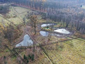 Důležité domovy pro vzácné druhy. V Litovelském Pomoraví i v Žebračce ožívají nové tůně