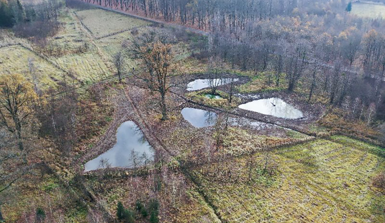 Nové tůně v oblasti Nových Zámků u Litovle
