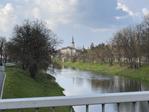 Zanedbaná plocha u Klášterního Hradiska se promění v lesopark s nábřežím