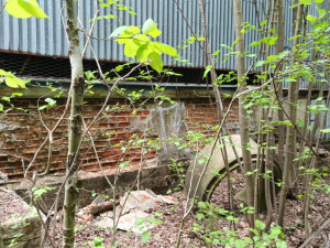 FOTOGALERIE: U Vikantic začala po čtyřiceti letech likvidace skladu jedovatých látek