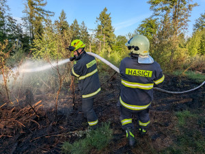 Dva požáry lesa na Šumpersku od špatně uhašeného ohniště. Zasahovaly desítky hasičů