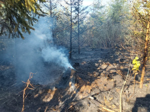 Dva požáry lesa na Šumpersku od špatně uhašeného ohniště. Zasahovaly desítky hasičů