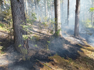 Dva požáry lesa na Šumpersku od špatně uhašeného ohniště. Zasahovaly desítky hasičů