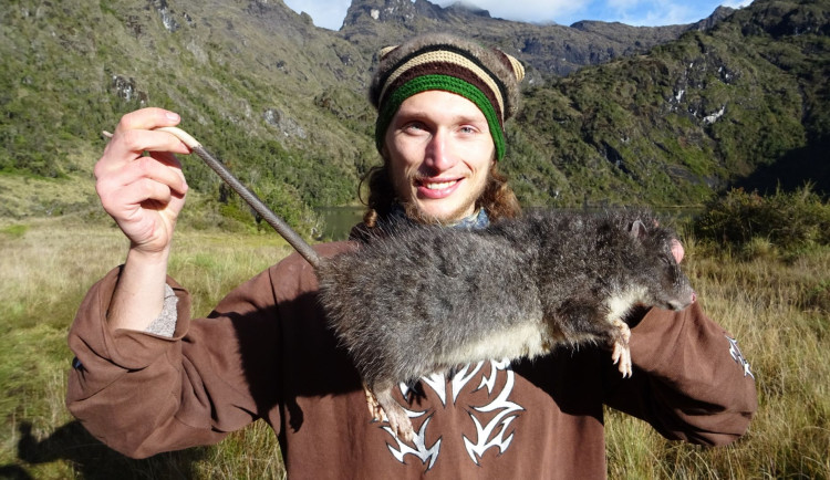 Český vědec poprvé zdokumentoval záhadnou velekrysu z Nové Guineje