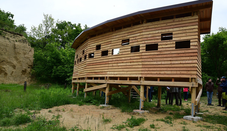 Za českými papoušky. V bývalé pískovně u Přerova vznikla ptačí pozorovatelna