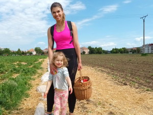 FOTOGALERIE: Červené šílenství. Na plantážích u Prostějova a Olomouce začal samosběr jahod