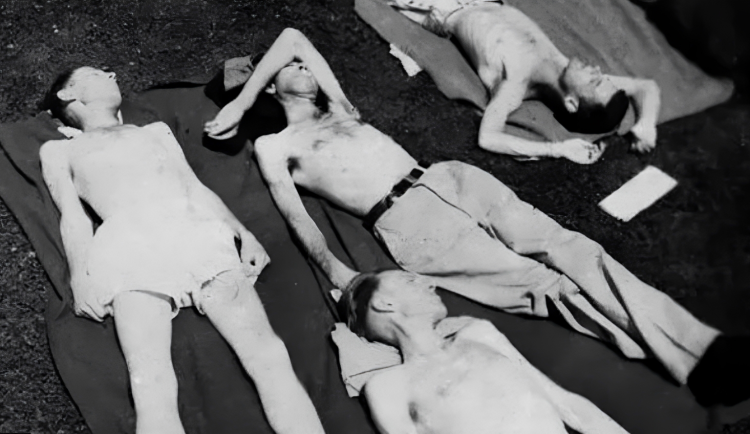 Minnesotský experiment