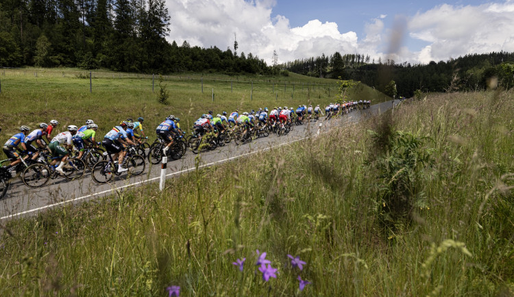 Peace Race / Markéta Navrátilová