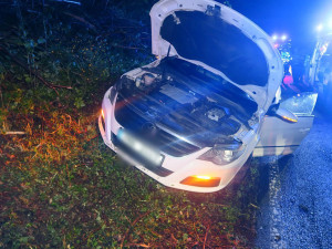 Náraz do betonové zídky. Mladý řidič se u Hanušovic vyhýbal srně