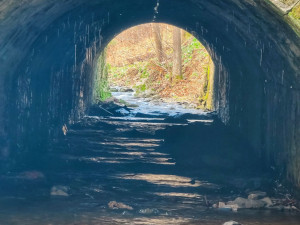 TIP NA VÝLET: Malý Rabštýn nabízí krásné výhledy, dvojitý most, lom nebo pstruží líheň