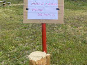 KVĚTEN 2025: Samosběr jahod i sněžení v Jeseníkách. Olma přišla o právo veta a Konice o májku