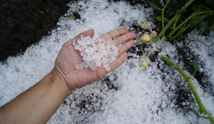 first-snow-1821255_1280