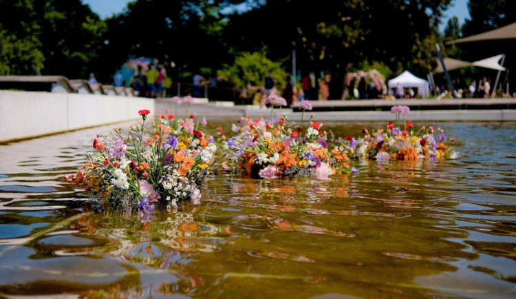 504284869_1099751462185813_5723499306342670923_n