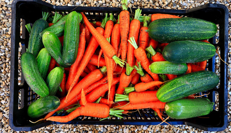 Maso i zelenina z jižní Moravy. Školní jídelny chtějí více regionálních potravin