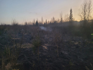 VIDEO: Série požárů lesa na Olomoucku a Bruntálsku? Policie má žháře, je obviněn i z vraždy