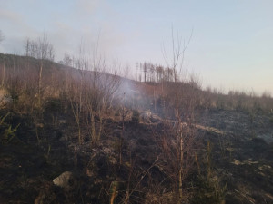 VIDEO: Série požárů lesa na Olomoucku a Bruntálsku? Policie má žháře, je obviněn i z vraždy