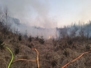VIDEO: Série požárů lesa na Olomoucku a Bruntálsku? Policie má žháře, je obviněn i z vraždy