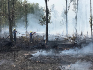 VIDEO: Série požárů lesa na Olomoucku a Bruntálsku? Policie má žháře, je obviněn i z vraždy