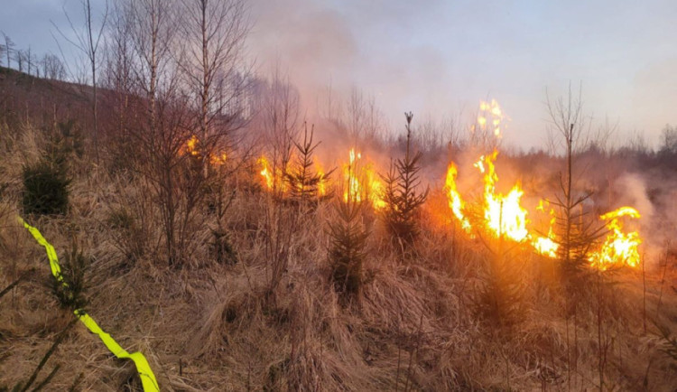 VIDEO: Série požárů lesa na Olomoucku a Bruntálsku? Policie má žháře, je obviněn i z vraždy