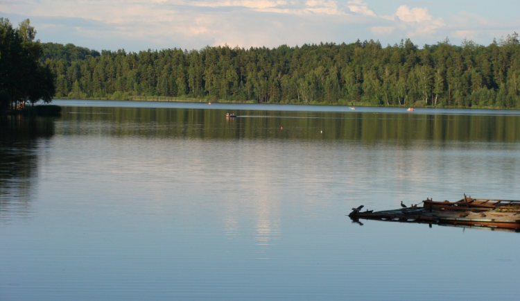 Kam o víkendu k vodě? Jihočeské přehrady a rybníky hlásí kvalitu na jedničku