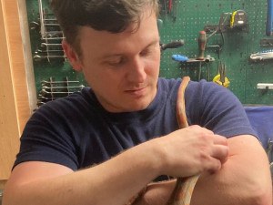 Hasiči v Litovli odchytli nádhernou užovku červenou a hledají chovatele, kterému utekla