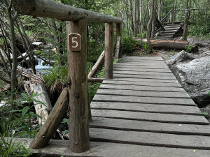 Kde došlo k úrazu? Výletníkům i záchranářům v údolí Bílé Opavy pomůže nové značení