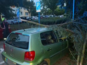 Silné bouřky potrápily Šumpersko. Hasiči zasahují hlavně u popadaných stromů