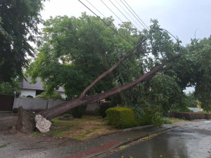 Silné bouřky potrápily Šumpersko. Hasiči zasahují hlavně u popadaných stromů
