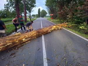 Silné bouřky potrápily Šumpersko. Hasiči zasahují hlavně u popadaných stromů