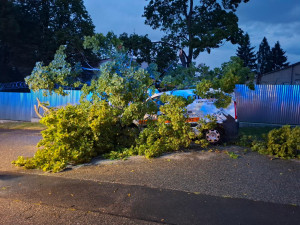 Silné bouřky potrápily Šumpersko. Hasiči zasahují hlavně u popadaných stromů
