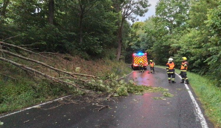 Silné bouřky potrápily Šumpersko. Hasiči zasahují hlavně u popadaných stromů