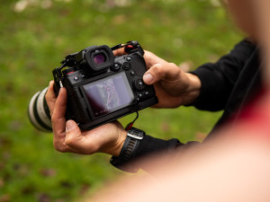 Krása, síla a psí radost. Tanečnice na Hané nafotily charitativní kalendář pro útulek