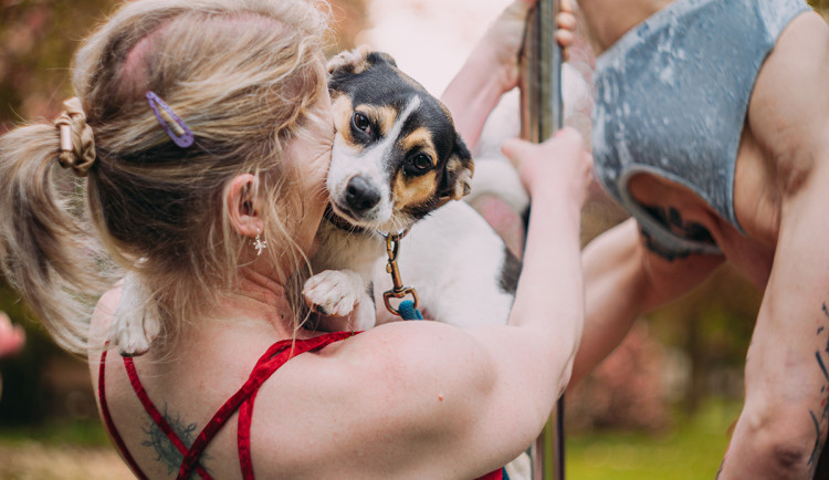 Tanečnice z Olomouce nafotily kalendář na podporu opuštěných zvířat