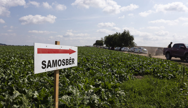 Samosběr ve Vojnicích - ilustrační foto