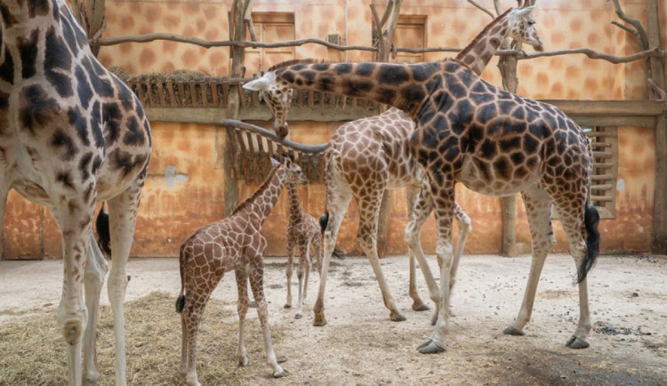 PŘEHLED: Top turistické cíle v Olomouckém kraji. Co si v létě nenechat ujít