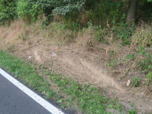 Mladík na Šumpersku otočil auto přes střechu. Prudce brzdil u zásahu hasičů