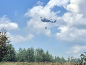 VIDEO: Obrovský lesní požár na Uničovsku. Plameny krotil ze vzduchu i vrtulník Black Hawk
