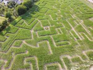Hanácké bistro a kukuřičný labyrint jako bonus. Zemědělci v Unčovicích chystají lákavou novinku