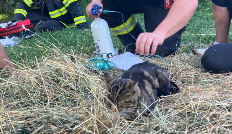 Ve vesničce u Bouzova plameny poničily dům, hasiči podali kyslíkovou terapii kocourovi