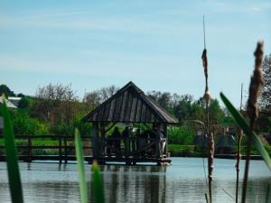 TIP NA VÝLET: Nenáročná procházka k rozhledně Tučín nabídne krásné výhledy do okolí