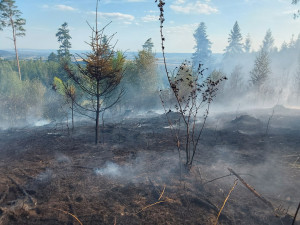 U Bludova hoří les. Zasahuje i vrtulník a dron s termokamerou
